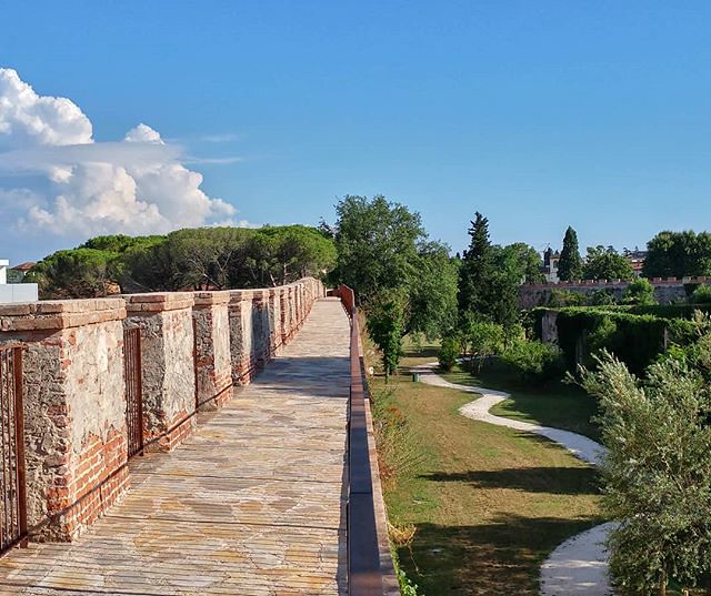 Vista dall'alto durante una passeggiata sulle mura di pisa